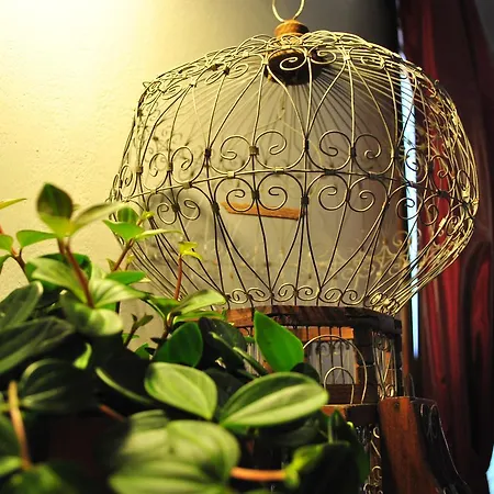Quattro Querce Bed & Breakfast *
